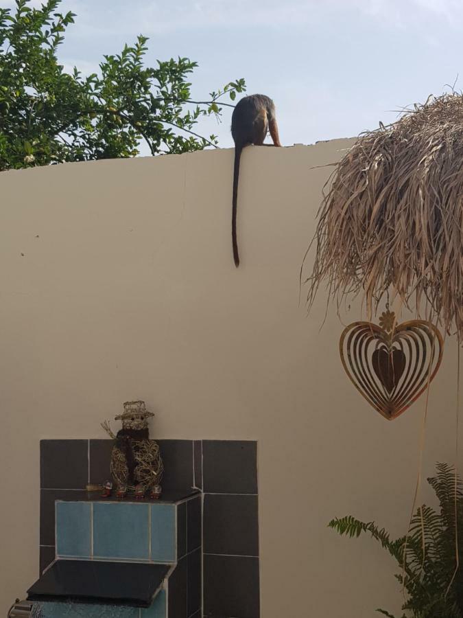 Mandinka Lodge Кололи Екстериор снимка